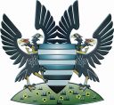 Salisbury FC Logo